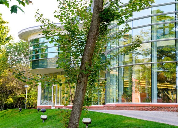 View of the full wall of windows reflecting surrounding trees on the back of the library