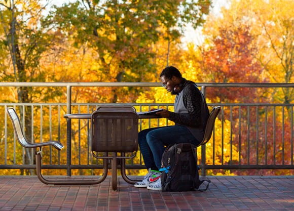 Student sitting on the York Hill Campus