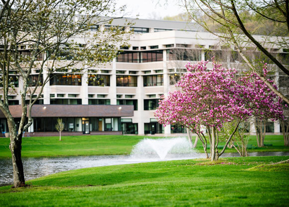 Flowering trees bloom outside the Quinnipiac North Haven Campus pond