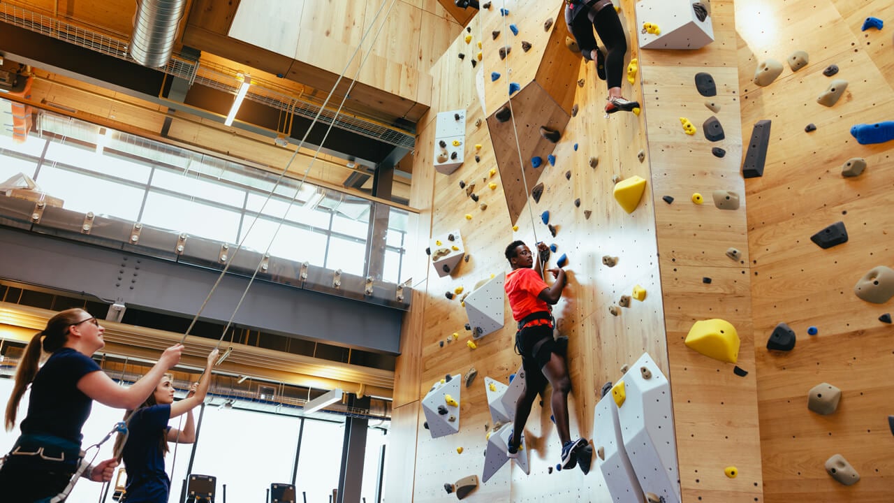 Students climb and belay on a two-story rock wall in the Recreation and Wellness Center