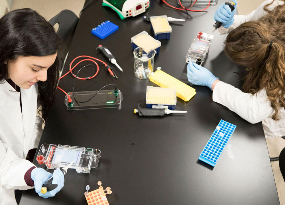 Two Biomedical Science students collect samples during a laboratory procedure in the Buckman Center Bio Lab