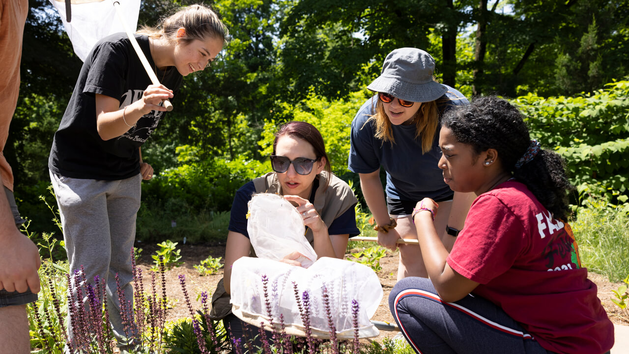 Students work with their professor in the pollinator garden.