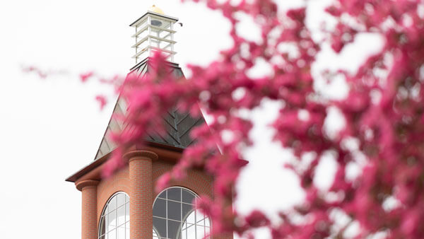 Spring flowers bloom outside the Quinnipiac library clocktower