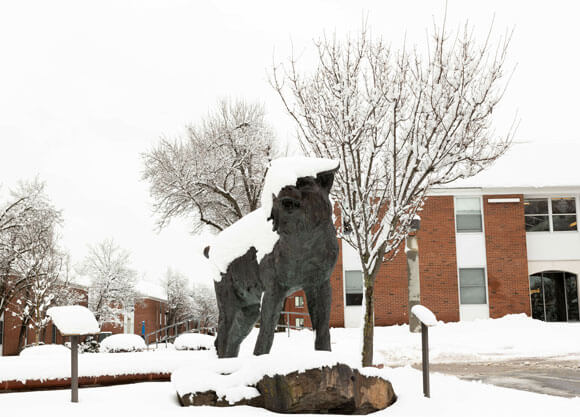 The bobcat statue covered with snow at Quinnipiac University