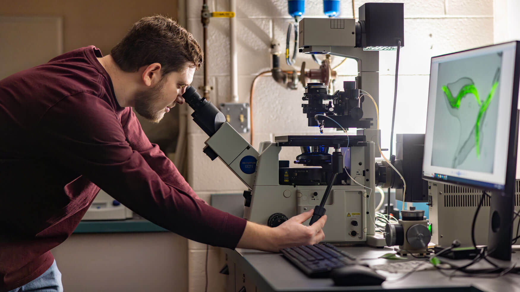 A student analyzing a specimen under a microscope