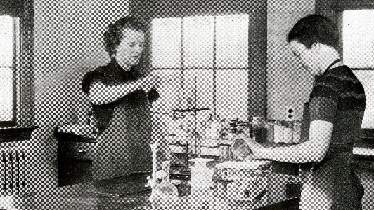 Students working on an experiment in a lab