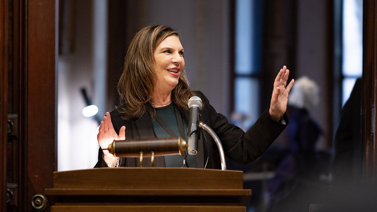 Individual speaking at the opening of the Ireland Great Hunger Museum