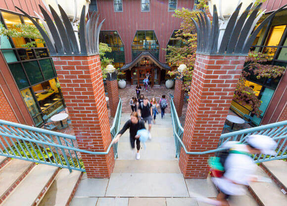 Students walk on stairs with brick pillars leading into the College of Arts & Sciences building
