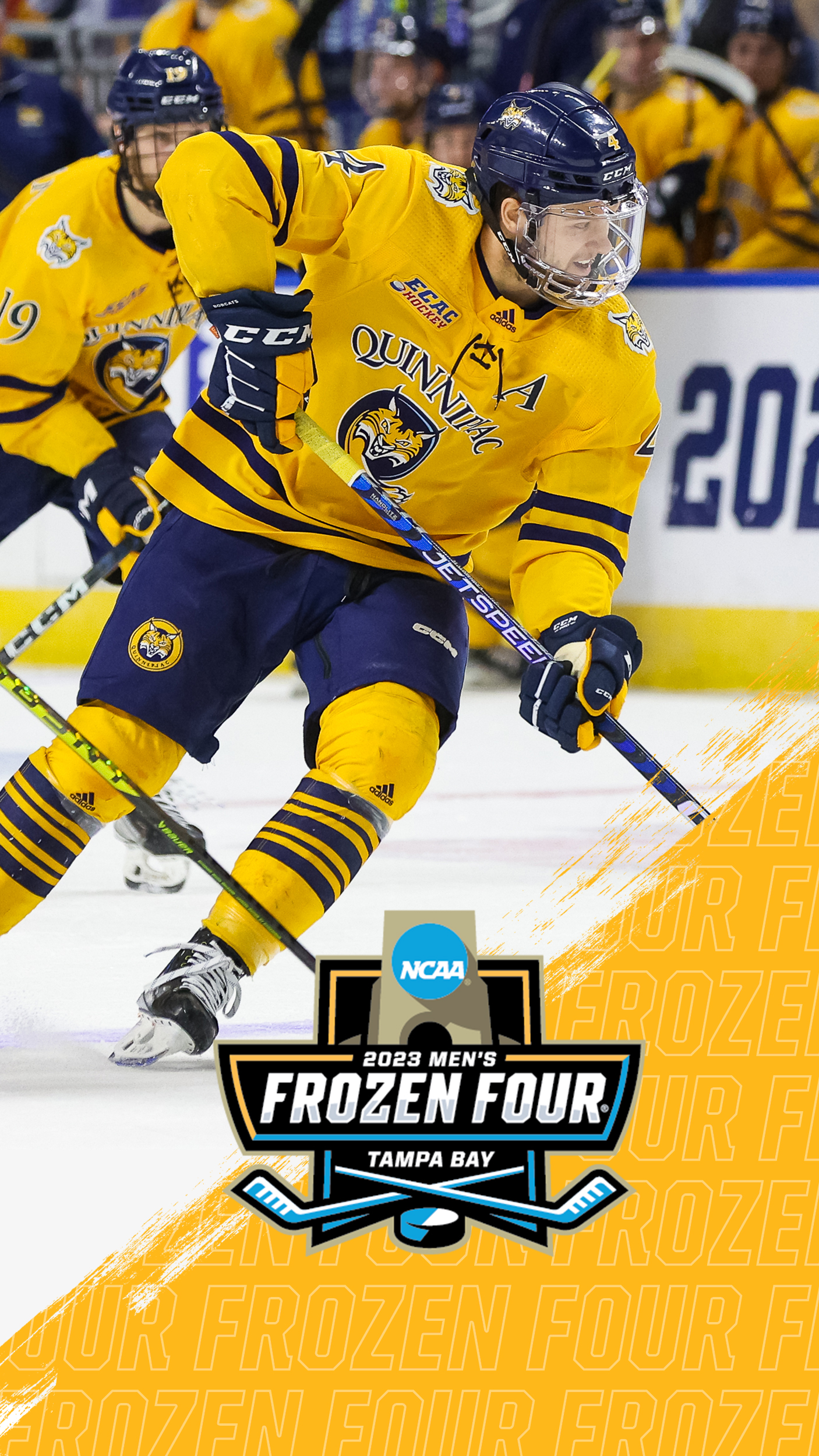 https://www.qu.edu/49617b/globalassets/global/media/qu/logos-graphics/0_university-wide/digital-backgrounds/frozen-four-wallpaper_phone_14062500.jpeg