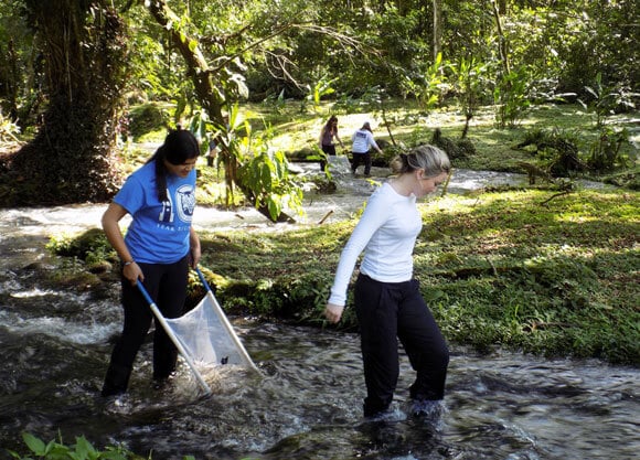 Students wade through a river as they collect samples