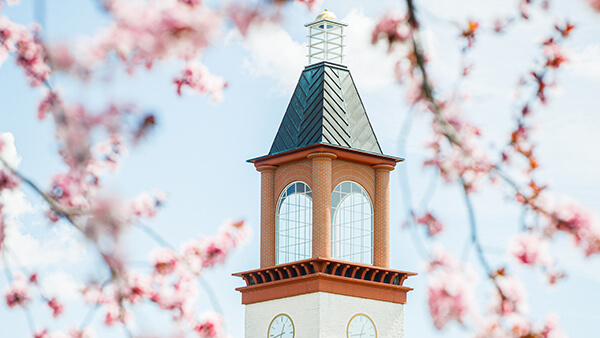 The Arnold Bernhard Library clocktower seen through pink flowering branches of a tree