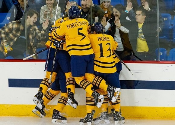 Men's ice hockey team celebrates a goal.