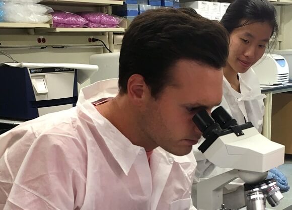 A student looks through a microscope in a laboratory setting