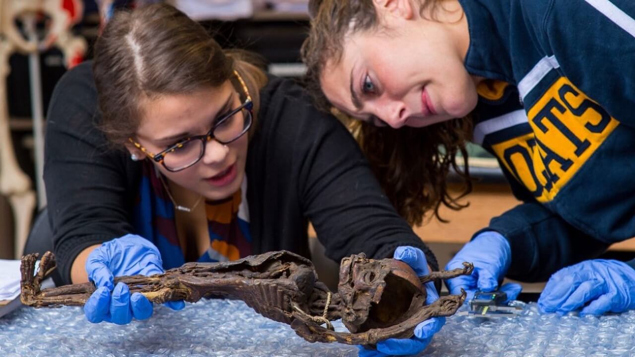 Anthropology students measure parts of the mummified infant to try to determine its age