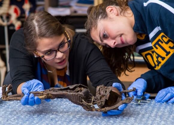 Anthropology students measure parts of the mummified infant to try to determine its age