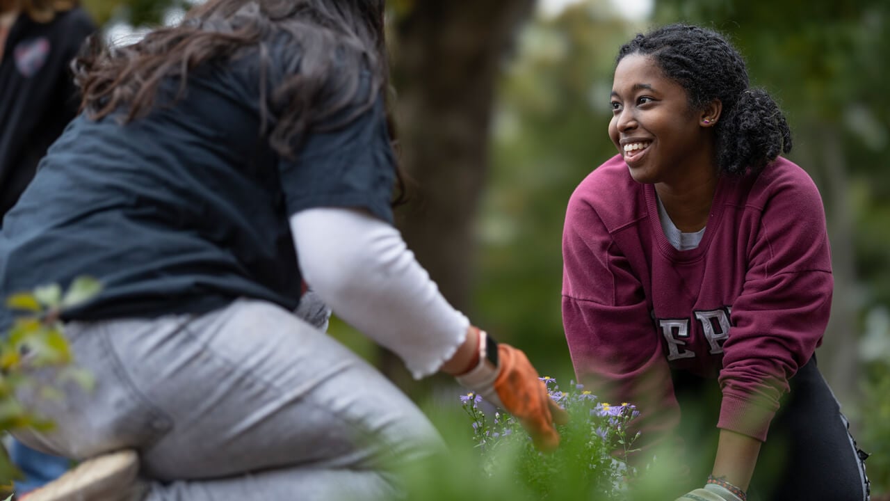 Pollinator Gardens Quinnipiac University
