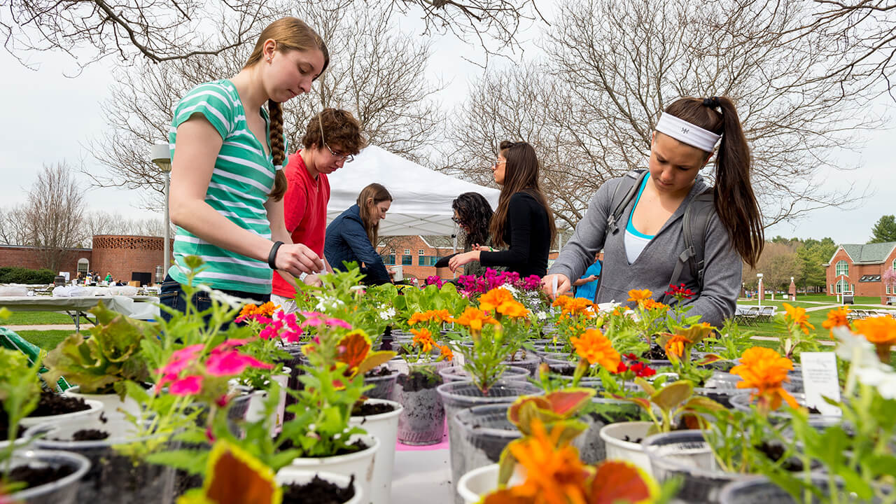 Students look at flowers.