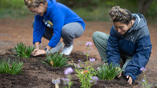 Students plant flowers in the pollinator garden on campus.