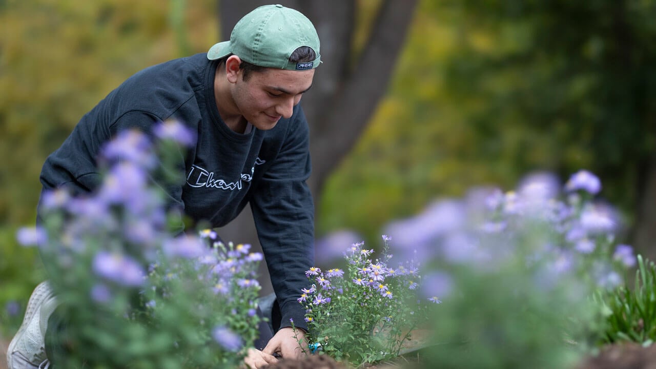 Matthew sitting on the ground planting flowers