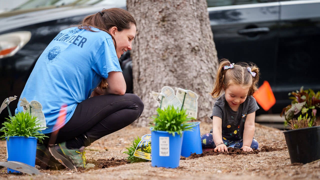 Volunteers placing plants in a garden