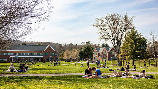 Students enjoying picnics on the Quad
