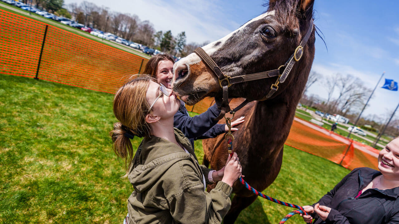 Girl kisses horse