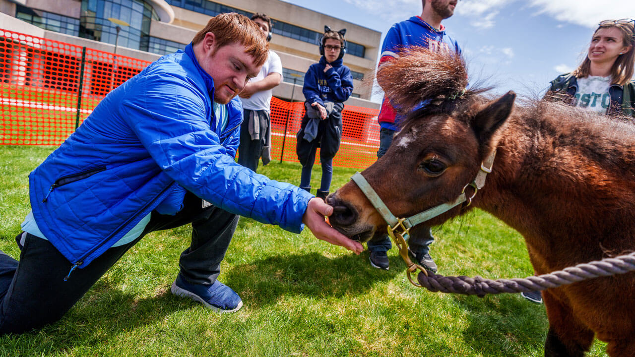 Pony eats out of hand of student in blue jacket
