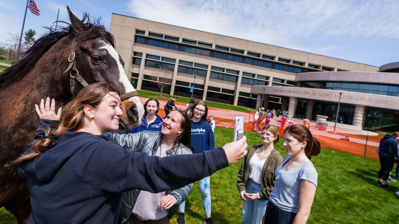 Girl takes selfie with horse and group of students