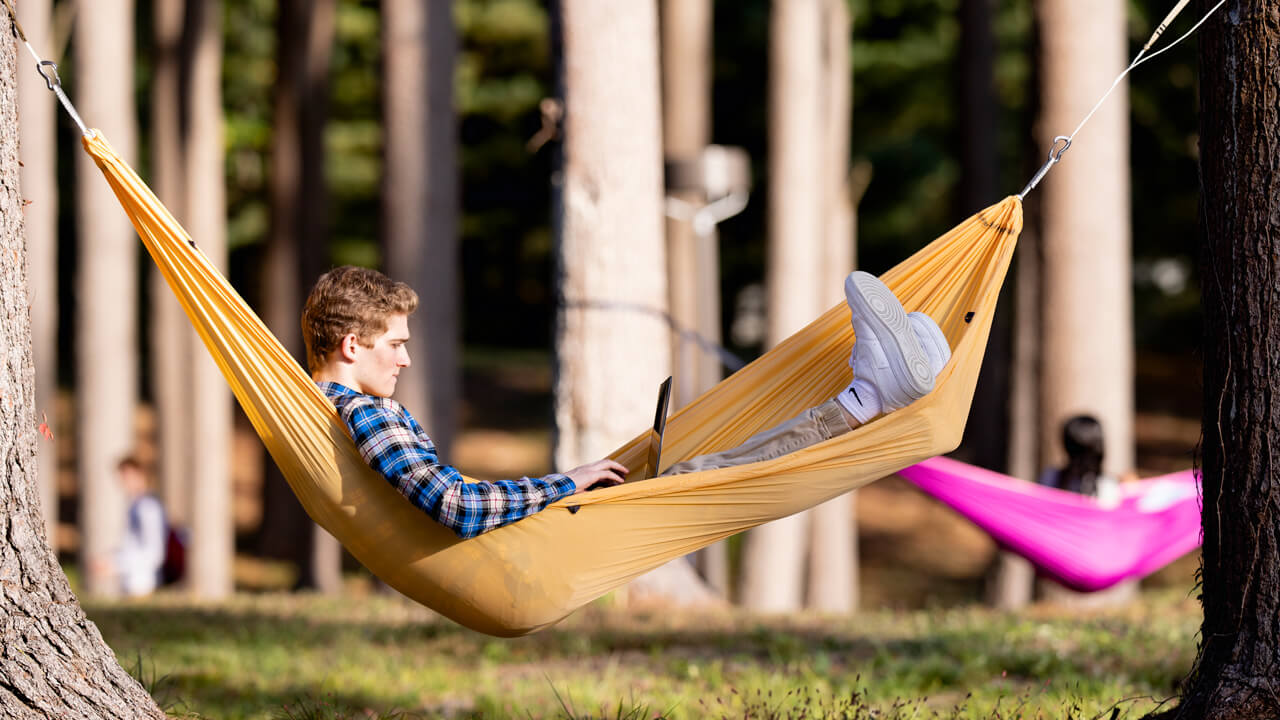 Student studying in a hammock