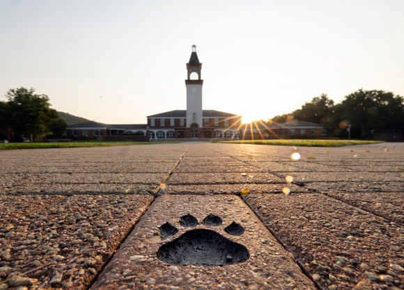 A bobcat paw print carved in brick in foreground with sun rising behind the clock tower