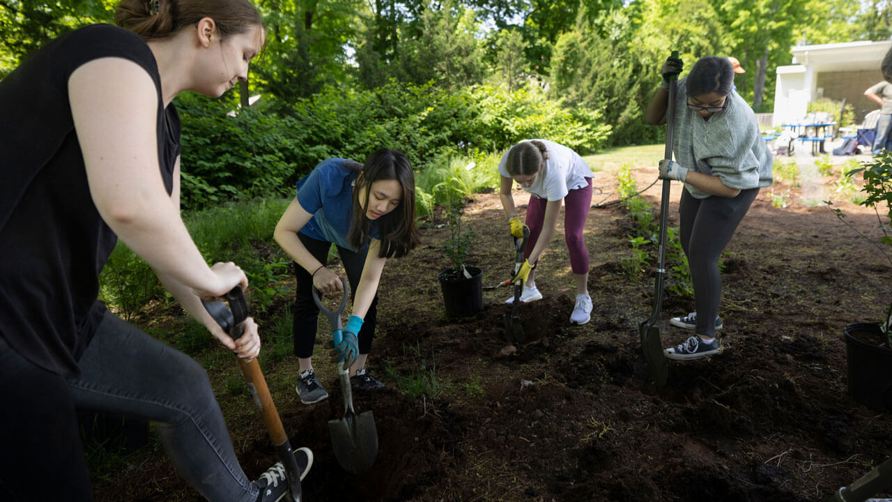 Students digging shovels into ground to make a hole to plant flowers