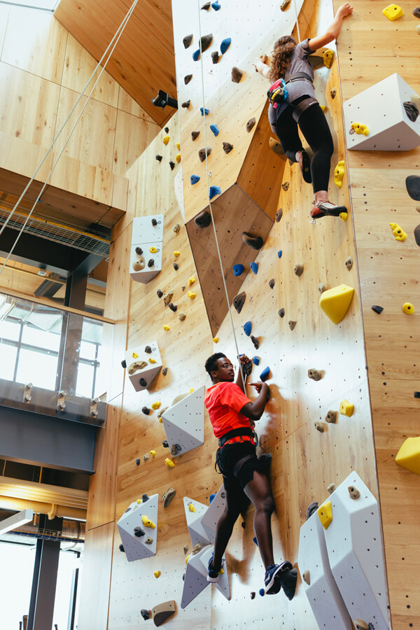 Students climb and belay on the two-story rock wall in the Recreation and Wellness Center