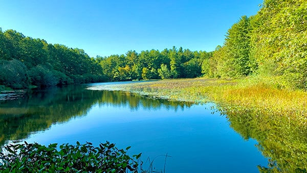 The lake on a sunny day at West Rock Ridge in Hamden, Connecticut