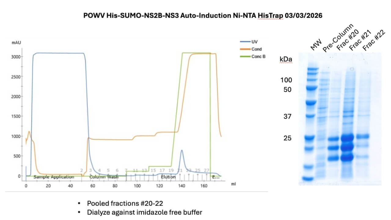 A graph depicting Ni-NTA FPLC elution profile and a photo depicting gel of highlighted fractions vs pre-purification.