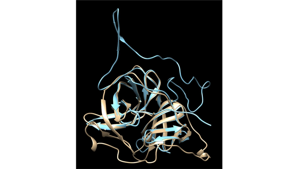 Tan and blue strings and ribbons depicting theoretical structures of NS2B-NS3