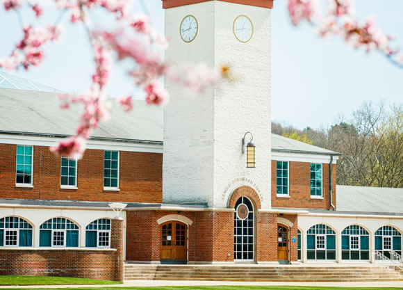 Spring flowers bloom around the library clock tower