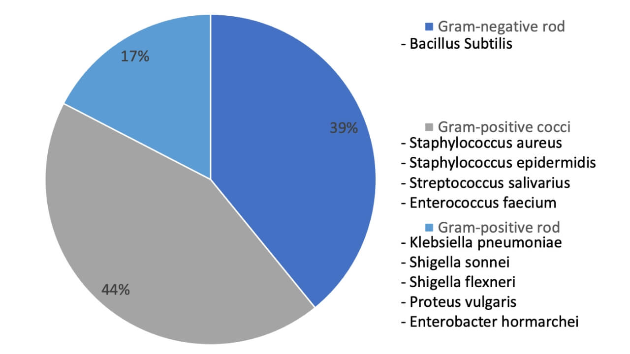 Figure 5: identification of bacterial unknown, microbial organisms were identified, through sequencing and SnapGene analysis. 23 organisms had identification results from sequencing. 9 gram-negative rods, 10 gram-positive cocci, and 4 gram-positive rods were identified