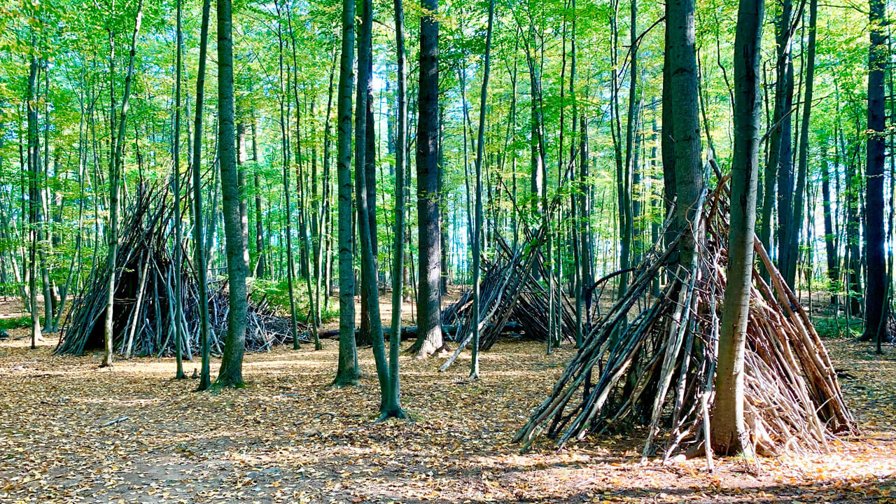 Stick huts in the middle of the forest