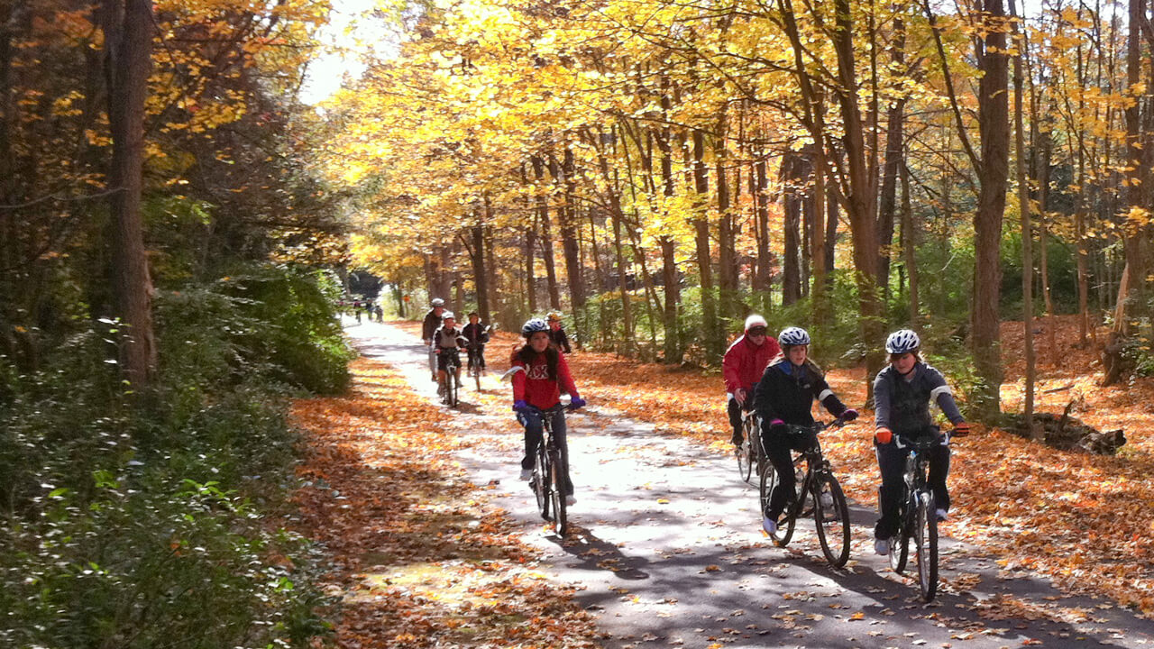 Dozens of people bike along a trail on a fall day