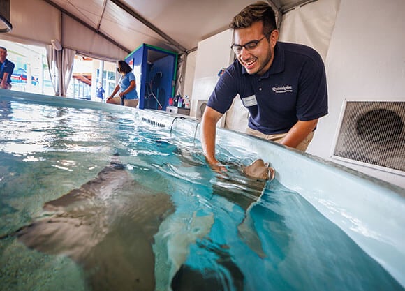 Students pet stingrays at the Mystic Aquarium
