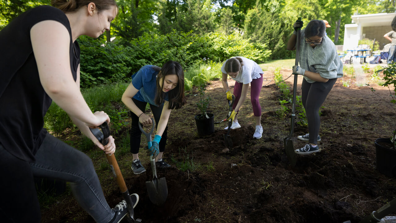 Quinnipiac students planting flowers and other plants in the beginning stages of the pollinator garden.