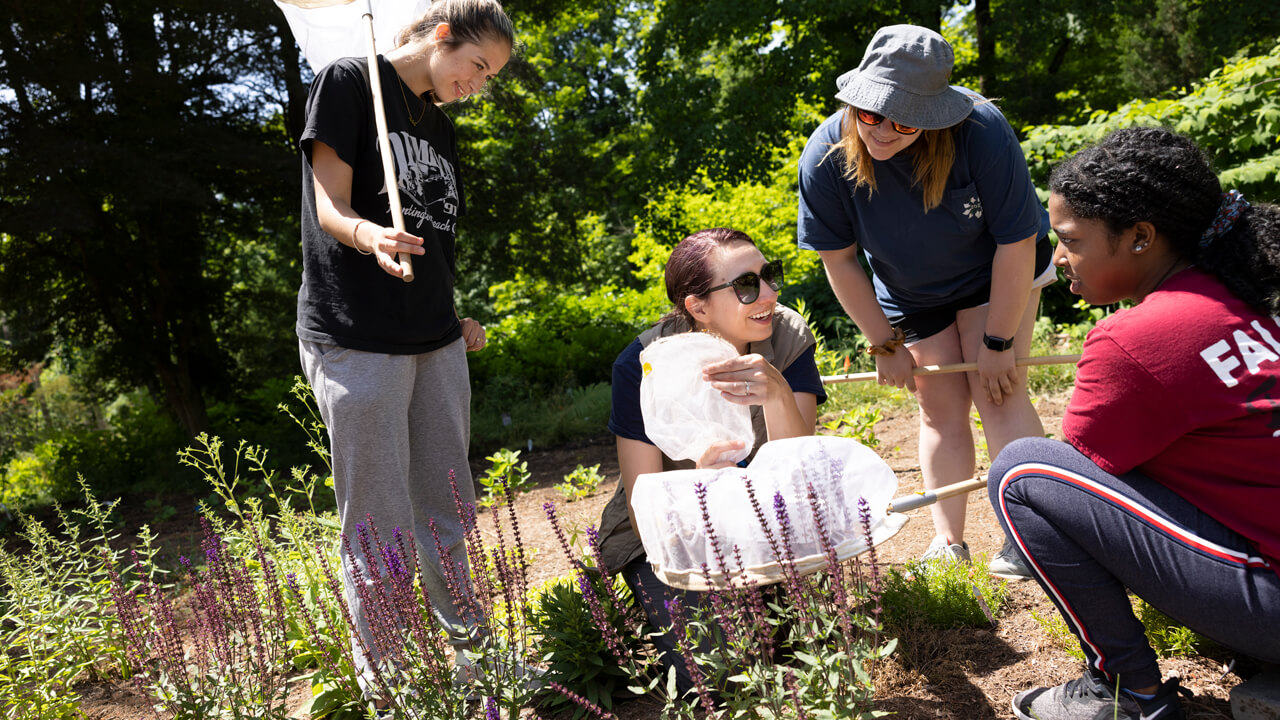 Quinnipiac University Professor Sarah Lawson works with students researching pollinator health and nutrition in native bee populations