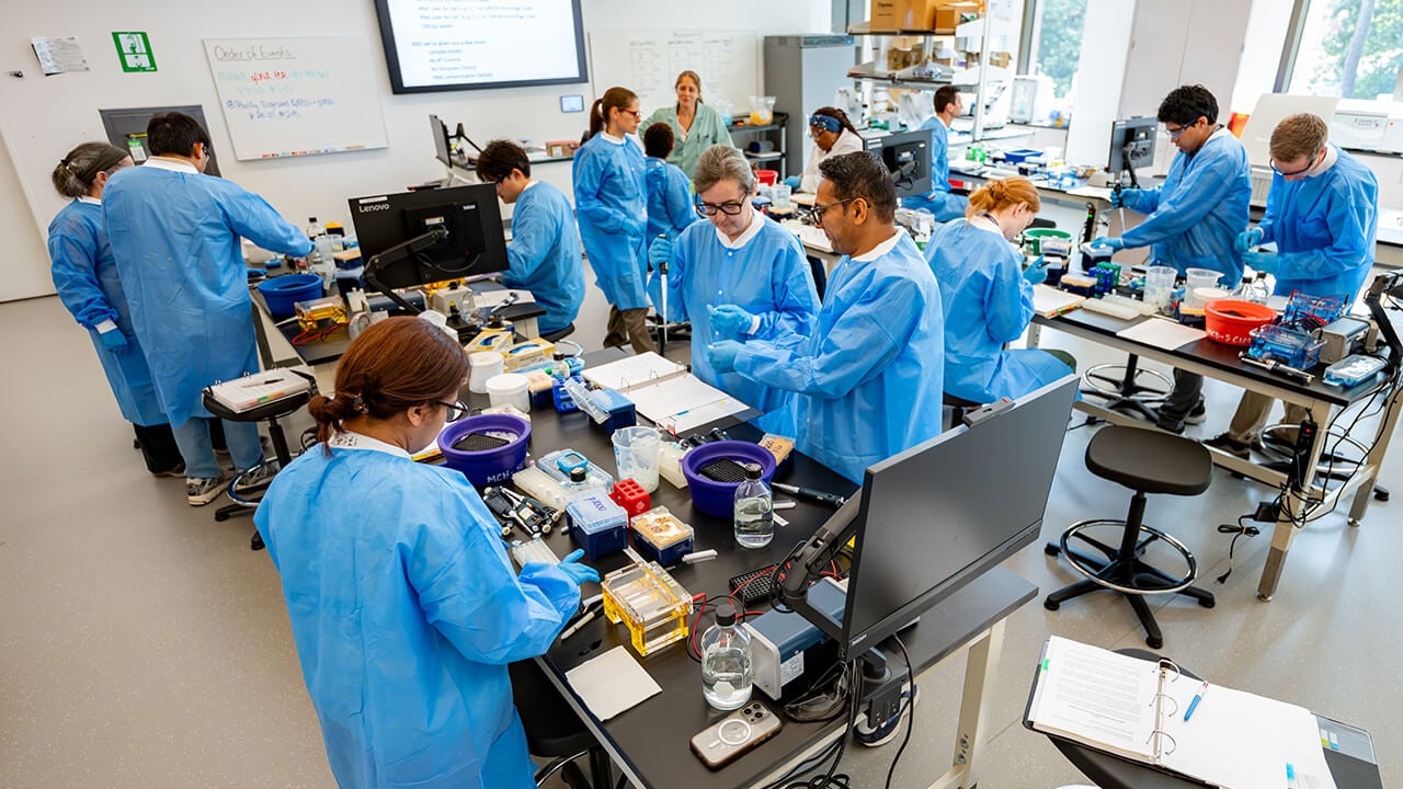 New England Biolab participants in the labs in the SITE building