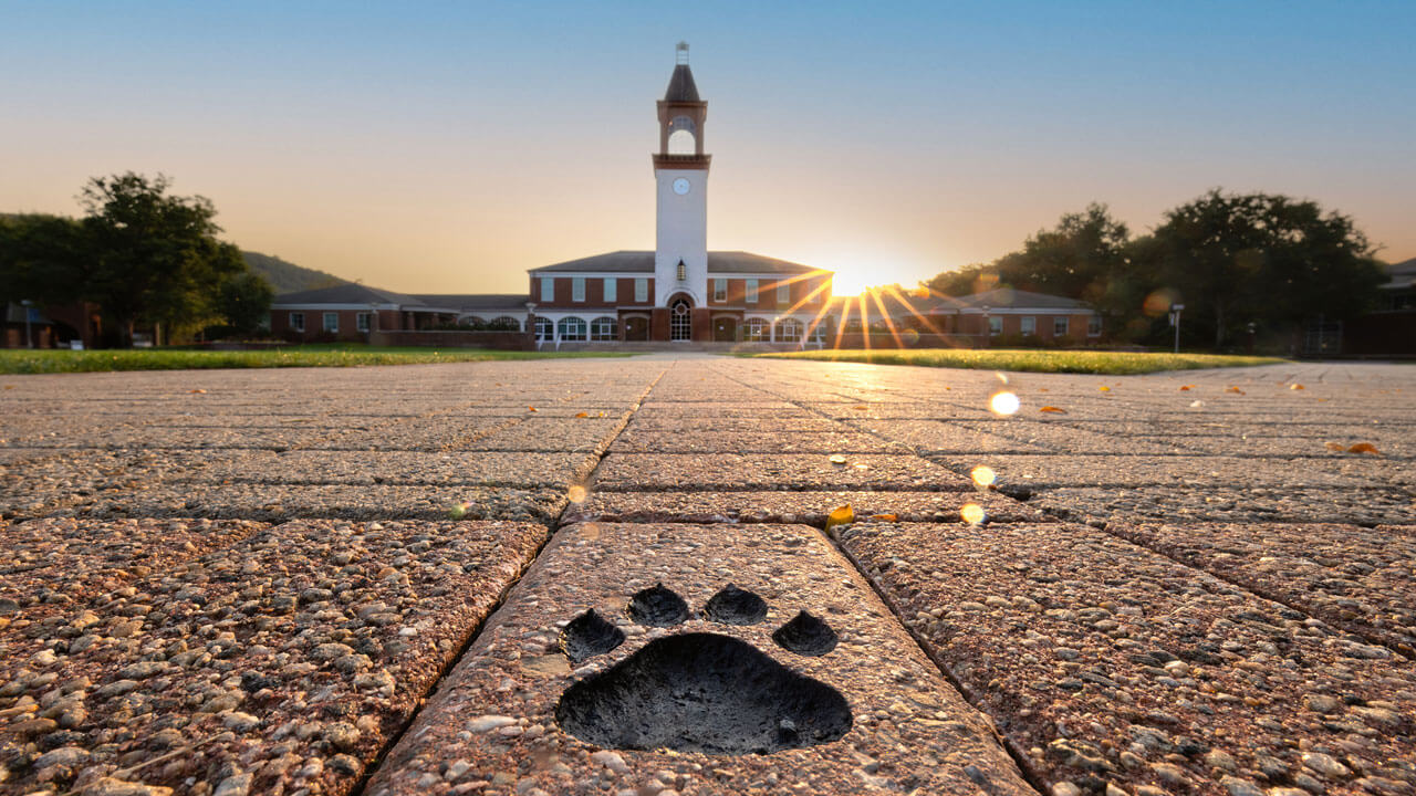 Paw print engraved in the stone ground on the quad