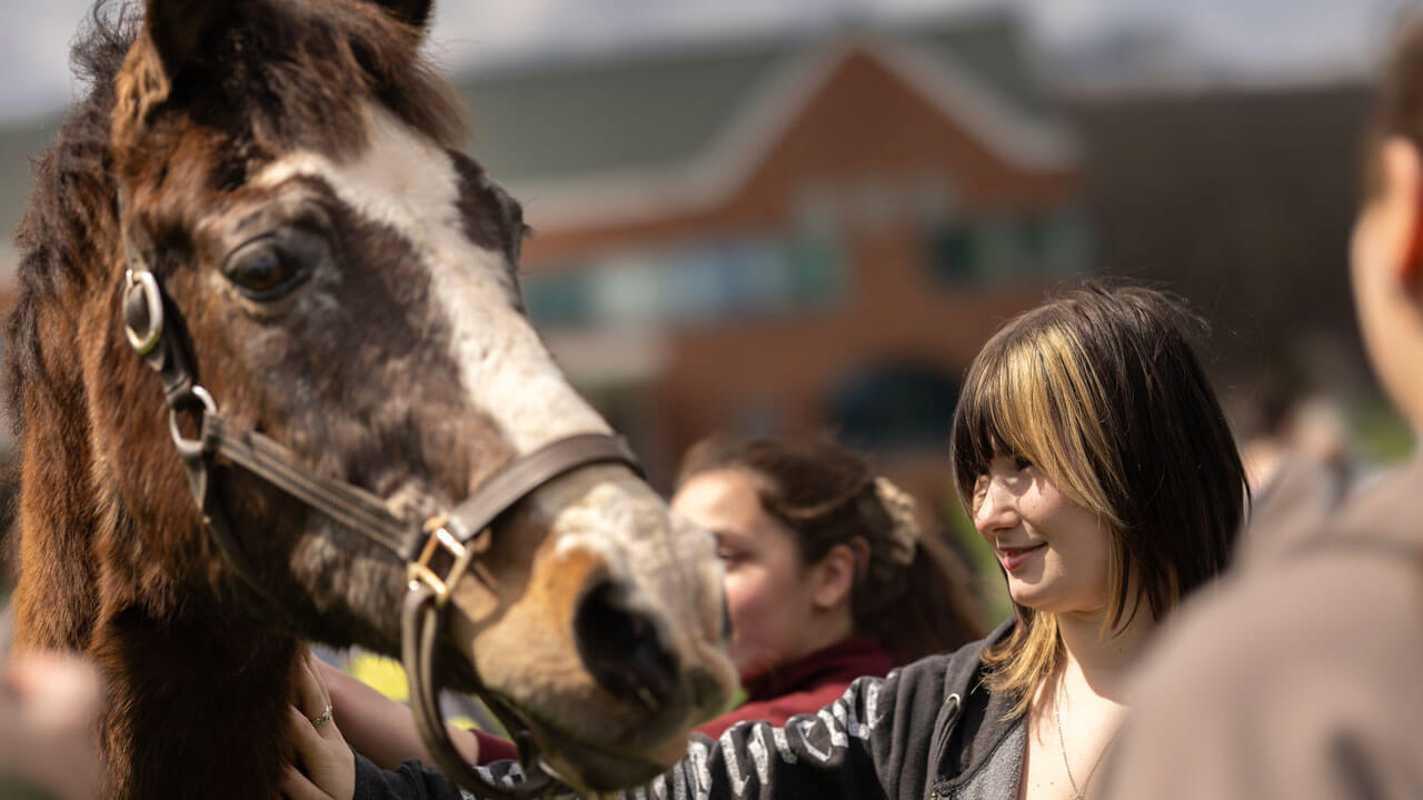 Student pets a horse at the QU Health Fair