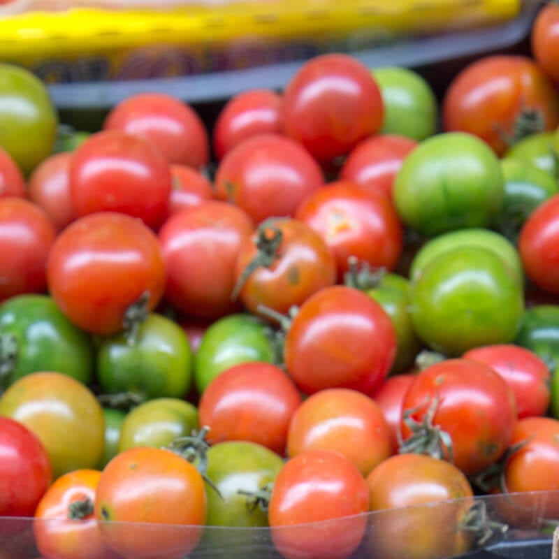 Dozens of colorful tomatoes