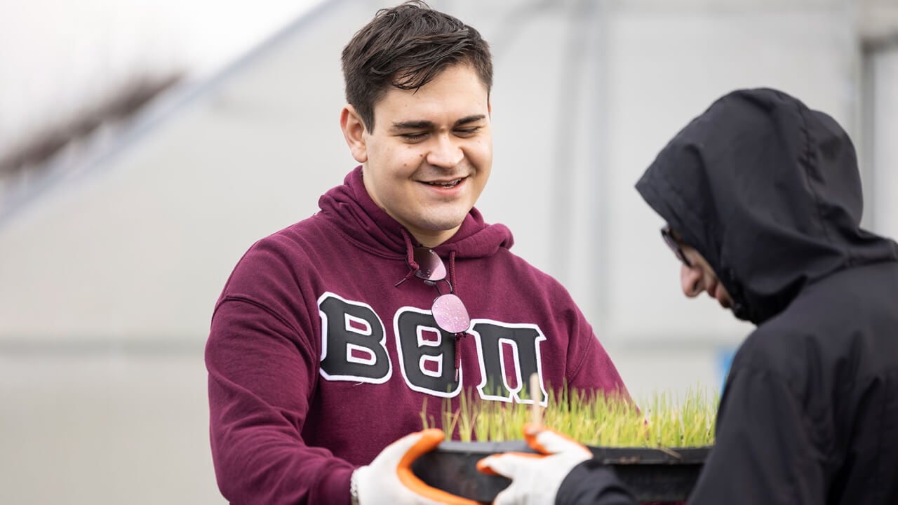 Greek fraternity member handing a plant to another member of the team participating in the Big Event clean-up.