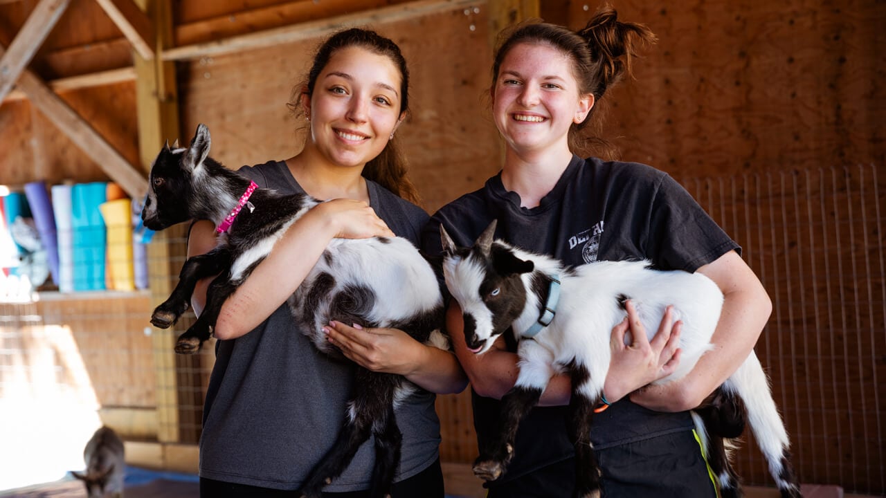 Helen Neforos and Jenna Soucie pictured holding goats during a goat yoga session with their sorority Gamma Phi.