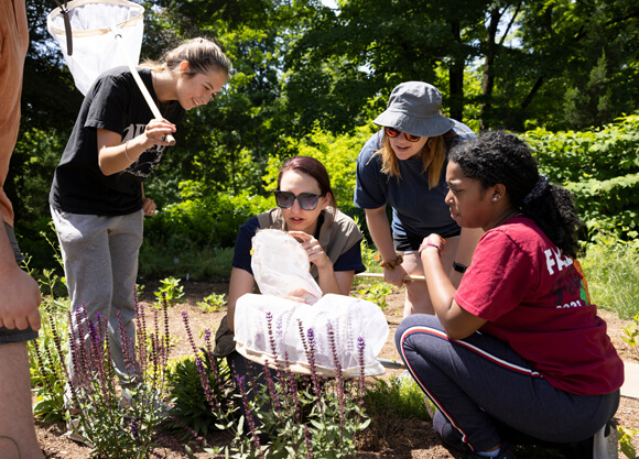 A professor and students kneel among flowers looking at a specimen