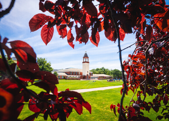 View of the Quinnipiac library and quad through fall foliage